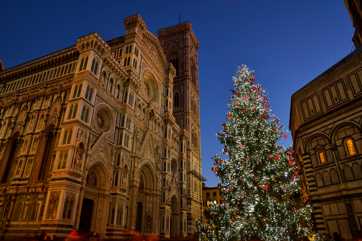 イタリアクリスマス、イタリア、フィレンツェ、クリスマスツリー