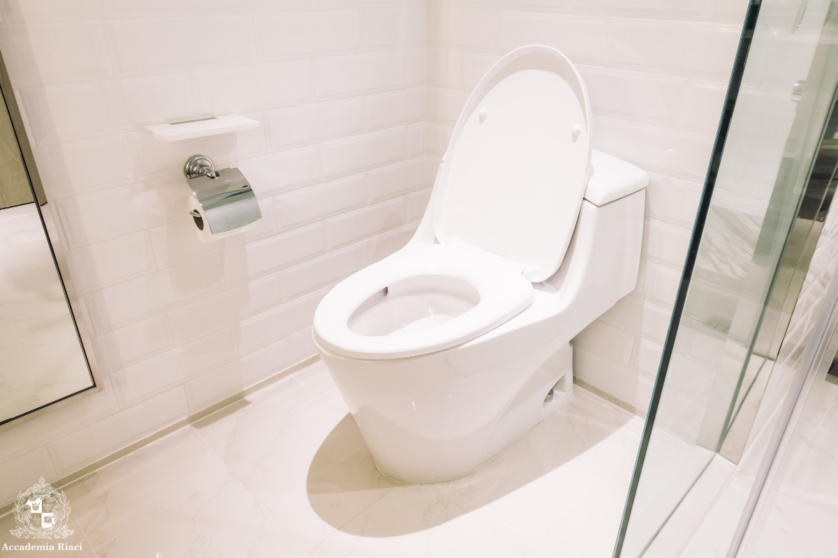 イタリア人から見た日本　綺麗に清潔が保たれたトイレ