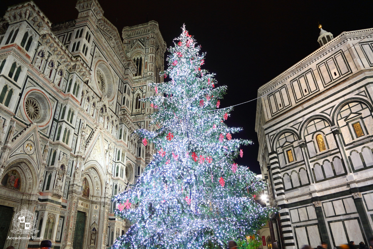 イタリア留学　イタリアのクリスマス　クリスマスツリー