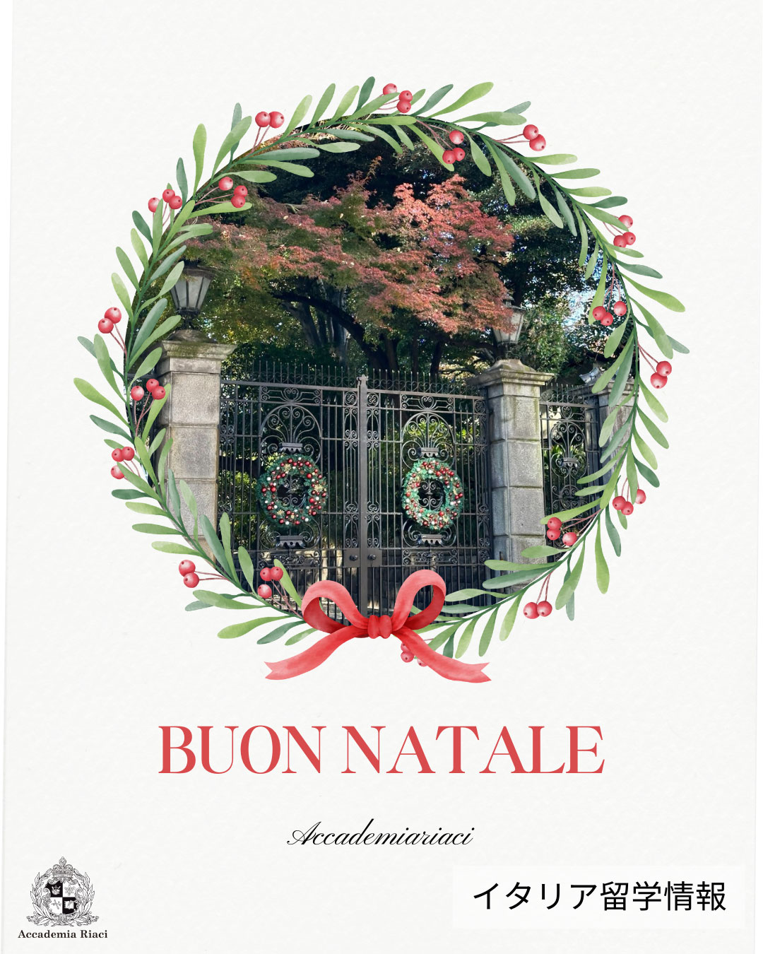 イタリア留学　イタリアクリスマス　Buon Natale